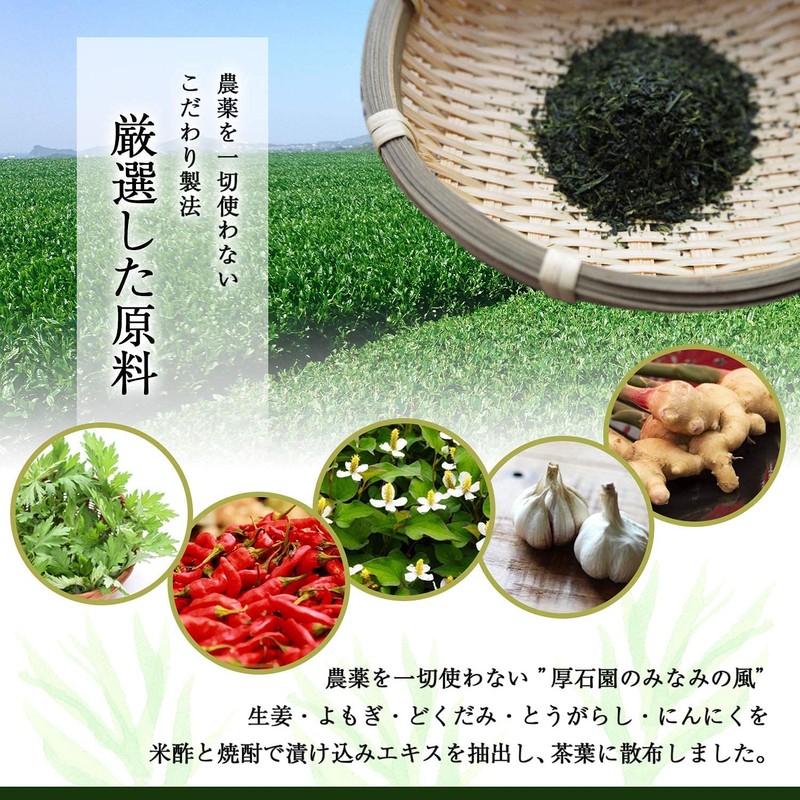 【鹿児島産煎茶 みなみの風 100g】農薬不使用 自家製有機質肥料栽培 高級緑茶葉 知覧(深蒸し煎茶)