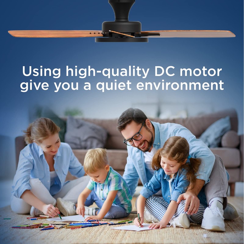 TALOYA Ceiling Fans with Lights and Remote, 46 Inch Low
