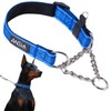 ANDA Martingale Collar for Dogs, Adjustable with Reflective Stainless Steel