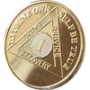 1 Year AA Medallion 22K Gold Plated Sobriety Chip