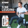 Xtend Original BCAA Powder 7g BCAA and 2.5g L-Glutamine, Sugar