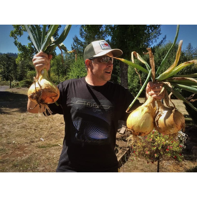 Wallace Organic Wonder, Super Starter Packs (150 Count)