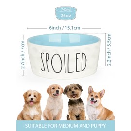 WoofinPets 27OZ Ceramic Dog Bowl - 6 Inch Small Food Water Bowl, Heavy Duty Non-Slip Dog Dish for Medium Dogs, Food Grade Porcelain Pet Feeder Bowls, Microwave & Dishwasher Safe, Blue