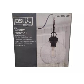 DSI LIGHTING Irie 1-Light Earth Black Pendant with Clear Seedy Glass Shade