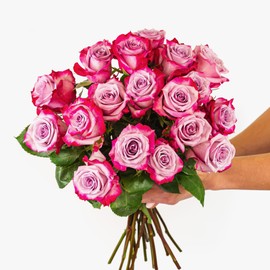 BloomsyBox Count Your Blushes - 18 Magenta Roses, Long Lasting & Hand-Tied, Farm Fresh Flowers Bouquet, Luxury Floral Arrangement, Flower Delivery, Birthday Flowers, Anniversary Flowers