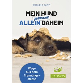 Mein Hund gelassen allein daheim: Wege aus dem Trennungsstress