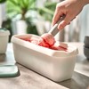 Springlane Set of 2 Ice Containers, 1 Litre, BPA-Free, Food
