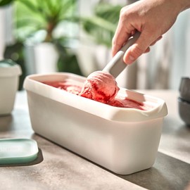 Springlane Set of 2 Ice Containers, 1 Litre, BPA-Free, Food Safe