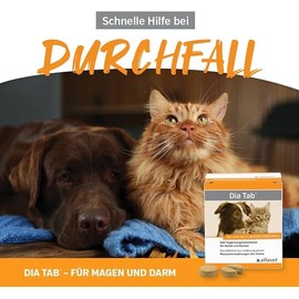 Alfavet Diatab 20X5G (Travel Size)