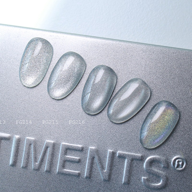 From the Nail Silver Magnetic Gel 5-piece set / 프롬더네일