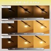 Edison Smart 3-Way Lighting Mini Ceiling Light TREO for Hooked