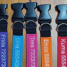 Collar identificador para perro, datos bordados, varios colores. Datos (sustituye placa) de identificación bordados.