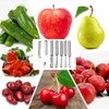 Fruit and Vegetable Corer Tool, Multi-Function Stainless Corer and Pitter