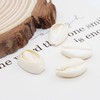 500pcs Gray 20mm Natural Spiral Shell Beads Smooth Cut Oval