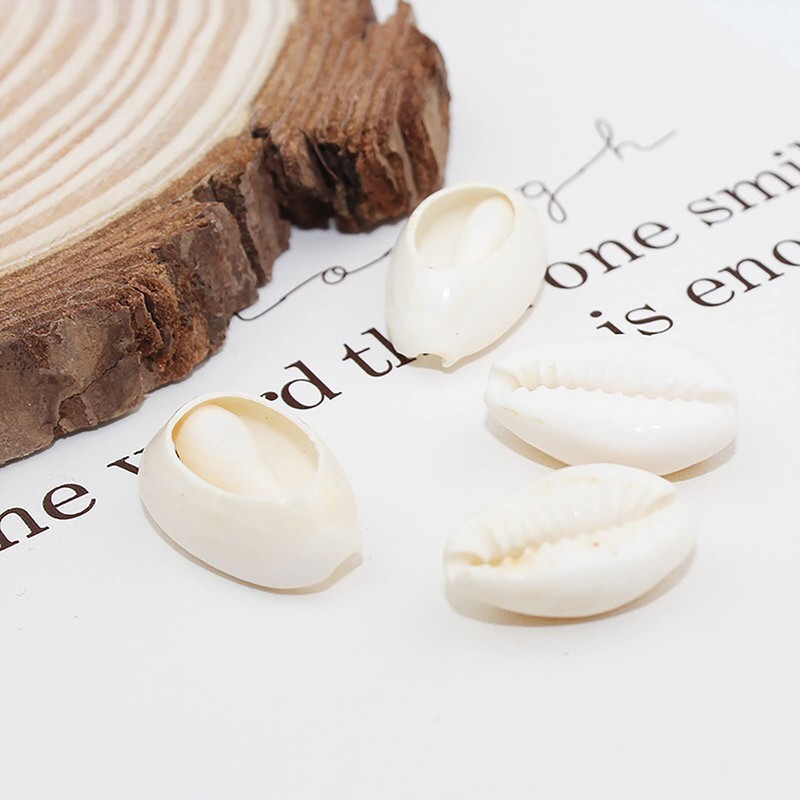 500pcs Gray 20mm Natural Spiral Shell Beads Smooth Cut Oval