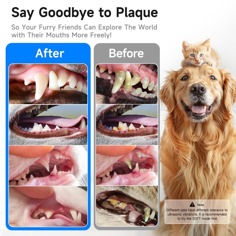 Dog Plaque and Tartar Remover - Dog Tooth Brushing Kit