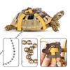 HOKABLE Pet Turtle Leather Harness and Leash - Adjustable Control