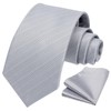 HISDERN Ties for Men Wedding Tie with Pocket Square Set