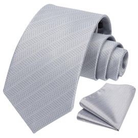 HISDERN Ties for Men Wedding Tie with Pocket Square Set Classic Tie Men's Formal Elegant Business Tie Party, silver grey