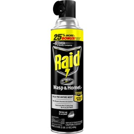 Raid Wasp and Hornet Killer, 17.5 Oz (Pack of 4)