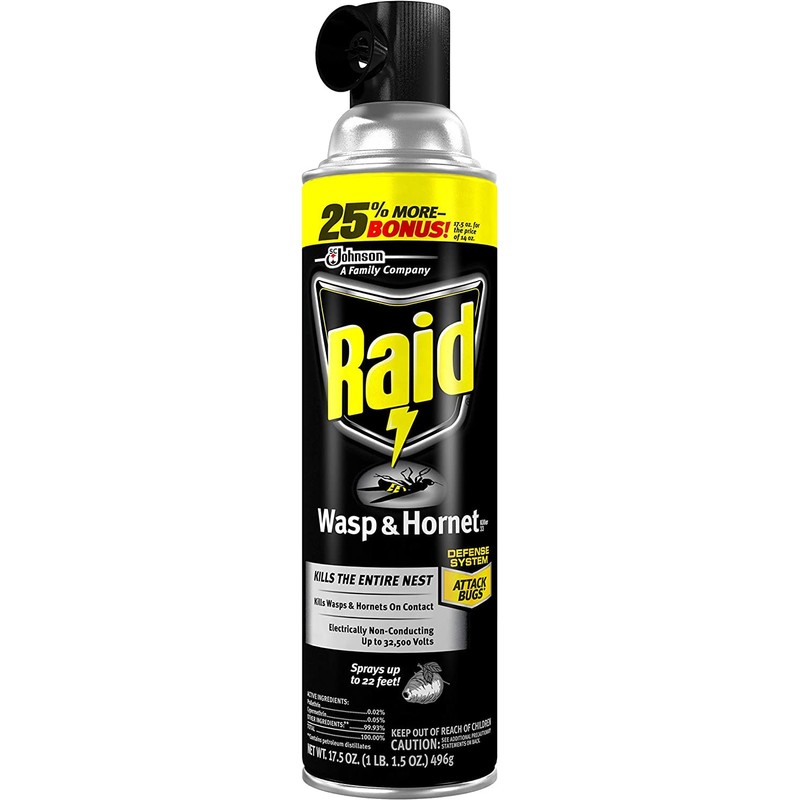 Raid Wasp and Hornet Killer, 17.5 Oz (Pack of 4)