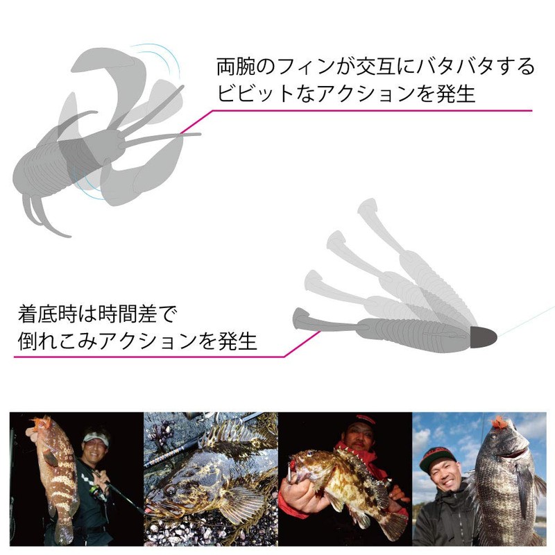 Megabass ROCK HOG 2" Orange Backchart