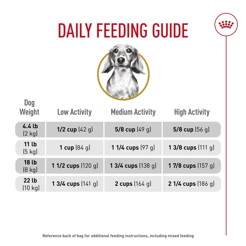 Royal Canin Dachshund Adult Breed Specific Dry Dog Food, 2.5