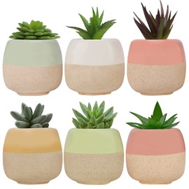 BELLE VOUS Mini Ceramic Flower Pot (Pack of 6) - L 6 x H 5.5 cm Small Flower Pots Cacti Pot with Drain Hole for Home, Office, Indoor, Outdoor, Garden - Decorative Succulent Pot & Cactus Pot Planter