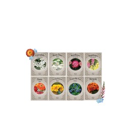 Flower Memorial Seed Pack - 8 Varieties of Non-GMO and Heirloom Premium Seeds for Planting - Forget me Nots, Gypsophila, Shasta Dasiy, Zinnia, and More