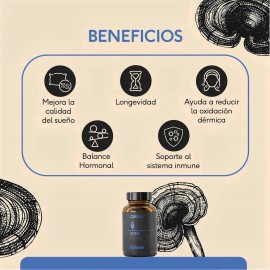 Suplemento Nutricional Cápsulas Veganas Hongo Reishi Quenut Sin Gluten                                                                                