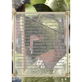 Nicky Bigs Novelties Adult Medieval Knight Gladiator Helmet - Cosplay Spartan Mask Trojan Hat - Roman Armor Warrior Greek Costume Headpiece, Silver Red, One Size