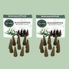 TRUMIRI Eucalyptus Incense Cones - Total 20 Cone Incense -