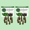 Peppermint Incense Cones - Total 60 Cone Incense - Six