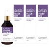 The Herb Shop Pillow Mist, 3 pieces, 100ml, Lavender / 더허브샵 필로우 미스트, 3개, 100ml, 라벤더