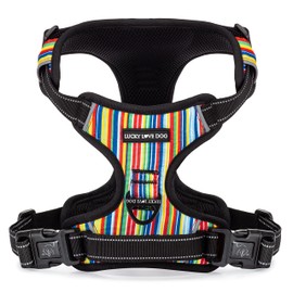 Lucky Love Dog No Pull Dog Harness, Adjustable and Easy to Walk, Cute Patterned Harness for Small Medium Large Male & Female Dogs - Hippie, Large