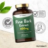 Pine Bark Extract 400mg | 180 Capsules | No Artificial