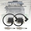 Lidscura 2PCS Ignition Coil with Spark Plug 24 584 45-S