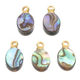 PATIKIL Abalone Shell Charm, 5 Pcs Oval Paua Shell Pendant 6mm Sea Abalone Shell Decorations for Necklace DIY Ocean Jewelry Making, Mix Colors