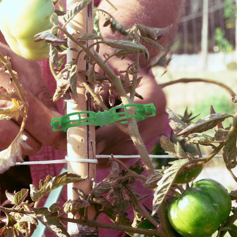 OJYUDD 300 Pcs Plant Support Clips,Plastic Tomato Clips,Plant Support Clips,Garden