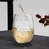 OWATRKDEY Squirrel Stemless Wine Glasses - Squirrel Gifts for Women