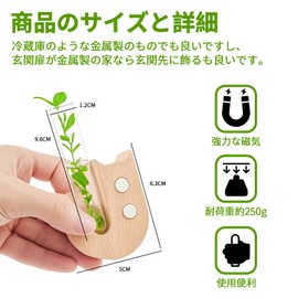 MITUKE Fridge Magnets, Vase Magnets, Test Tube Vase Magnet Storage Office Kitchen Desktop Decor Home