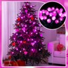 Pink Valentine's Day Fairy Theme Lights, 20 ft 60 LED