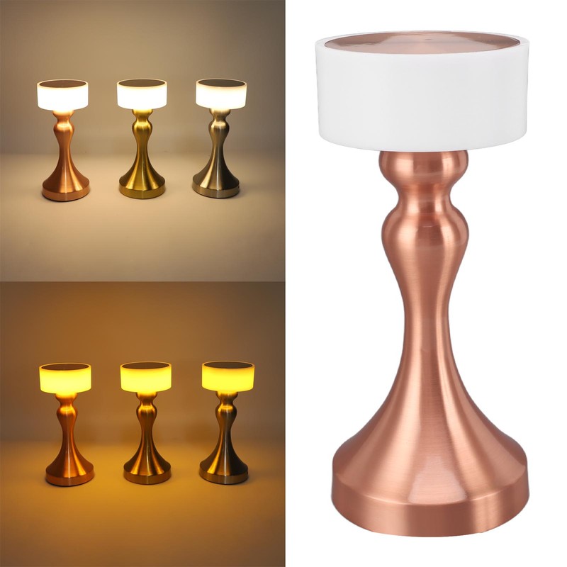 Table Lamp 3 Modes Stepless Dimmable LED Touch Cordless Metal