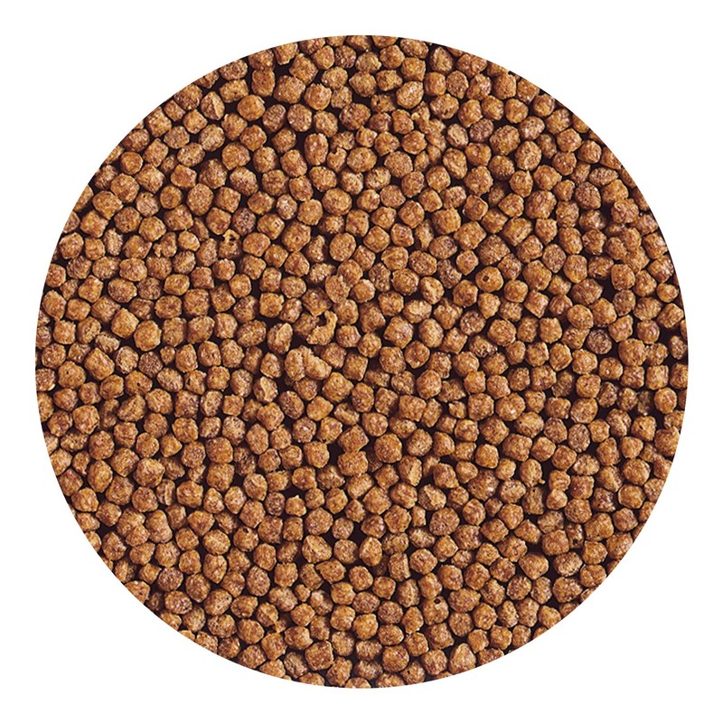 Hikari Gold Baby Floating Pellets for Koi and Pond Fish
