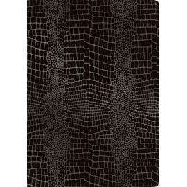 RNKVERLAG Grace 46217 Elegant Certificate Folder Carbon Black with Two Transparent Pockets Dimensions (W x H): 225 x 310 mm for DIN A4, Pack of 1