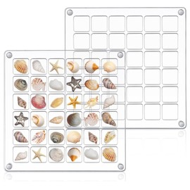 Display Box, Magnetic Shell Display Case Made of Acrylic, 36 Compartments, Transparent Storage Box, 12.5 x 12.5 cm Storage Box Displays, Suitable for Storing Beads, Nails, Jewellery, Diamonds etc.
