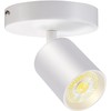 VANoopee Flush Mount LED Ceiling Spotlight Dimmable Adjustable Spotlight Directional