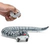 Top Race Remote Control Rattle Snake - Realistic Robot Snake