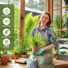 Doter Potting Soil Mix for Fern 2qt, Custom Hand Blended
