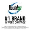 Roundup Roundup Weed & Grass Killer? Concentrate, Use In and